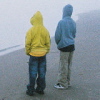 Brothers, fog